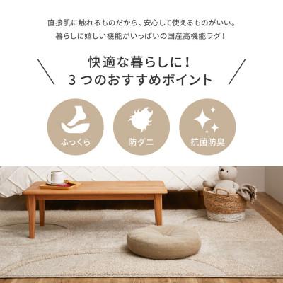 ふるさと納税 泉大津市 日本製ふっくら厚手の防ダニ・抗菌防臭加工　カーペット　1枚　約130×185cm　350118306 |  | 03