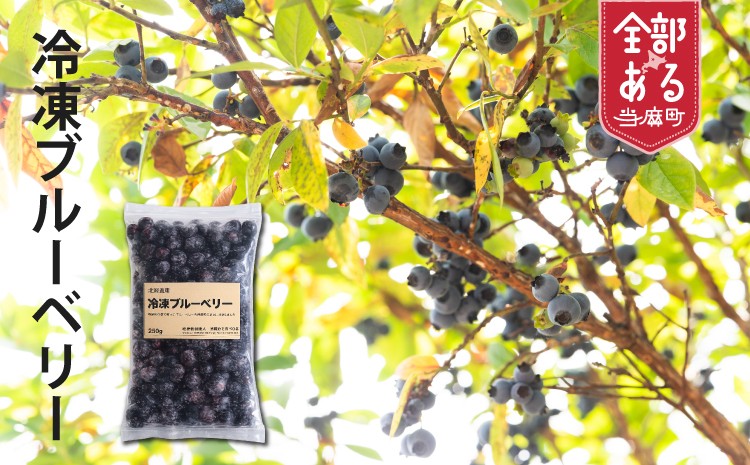 
                  【思いやり型返礼品】　大事に育てて大事に収穫しました　当麻かたるべの森　冷凍ブルーベリー 1kg
                