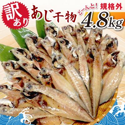 ふるさと納税 神栖市 【訳あり】規格外　あじ干物どーんと! 4.8kg