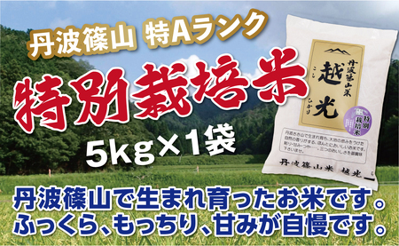 【令和7年産 2025年9月以降、順次発送】　丹波篠山産　特Aランク　特別栽培米　越光（５ｋｇ×１袋） 白米 100％単一原料米 産地直送米 贈答 おいしいコシヒカリ お米 精米 コシヒカリ ブランドコシヒカリ おこめ 健康 ギフト 内祝い 贈り物 送料無料 おすすめコシヒカリ 人気 口コミ こしひかり　コメ [Y030]