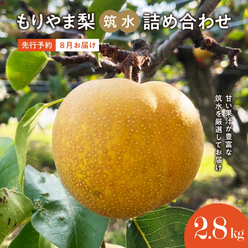 【ふるさと納税】先行予約　びわこもりやまフルーツランド 筑水 詰め合わせ 箱入り ギフトボックス 完熟採り　生産農家直送 果物 フルーツ 滋賀県 守山市 送料無料