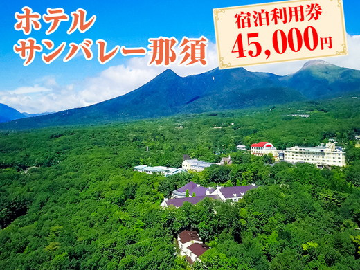 
                  ホテルサンバレー那須 宿泊利用券 45,000円分｜宿泊券 旅行券 チケット 旅行 トラベル 券 利用券 補助券 チケット 旅 温泉 露天風呂 宿泊 リゾート 家族旅行 国内旅行 夏休み お盆 年末年始 記念日 ご褒美 リラックス プレミアム 贅沢 温泉体験 プライベート 特別 豪華 ラグジュアリー おもてなし 癒し ファミリー 那須旅行 那須宿泊 那須町 栃木県〔H-13〕
※着日指定不可
                