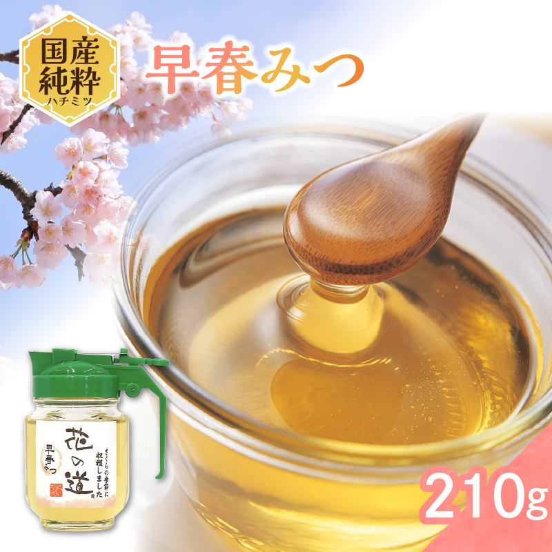 国産純粋蜂蜜 早春みつ 210g 非加熱 はちみつ ハチミツ 生はちみつ ローハニー オススメ 贈答 贈り物 プレゼント 八女市