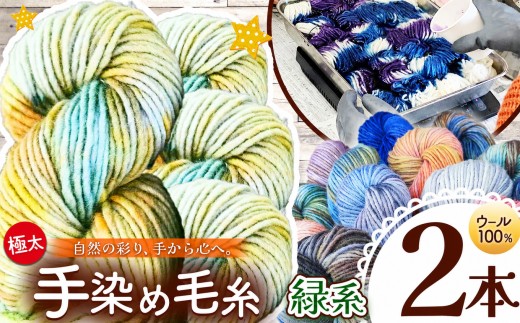 ウール100％ 手染め毛糸（極太） 2本 緑系 ｜  毛糸 ウール ウール100％ 手染め 裁縫 手芸 長野県 松川村 信州
