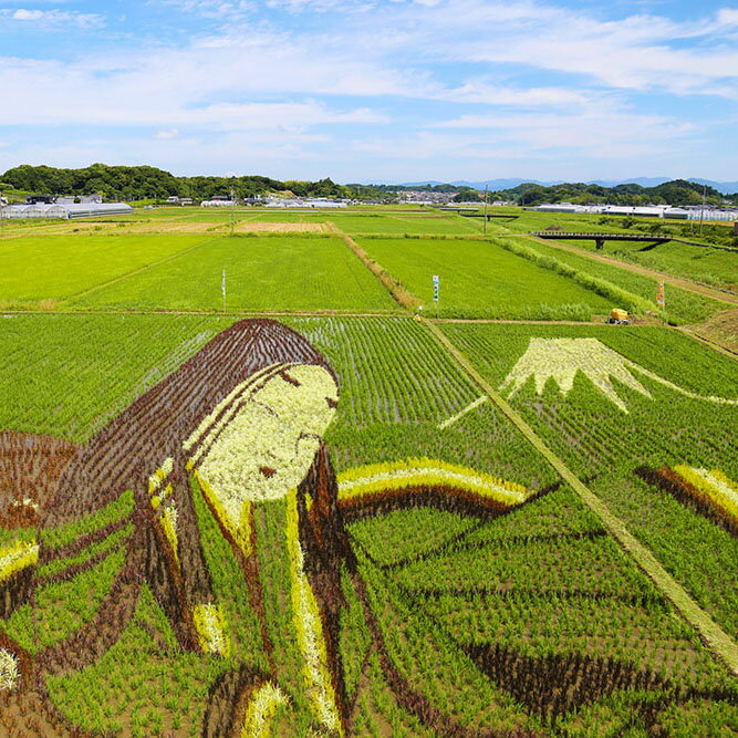 【ふるさと納税】静岡県 菊川市 日本旅行 地域限定 旅行クーポン 30,000円分 チケット 旅行 宿泊券 ホテル 観光 旅行 旅行券 交通費 体験 宿泊 夏休み 冬休み 家族旅行 ひとり カップル 夫婦 親子 トラベルクーポン 菊川市旅行