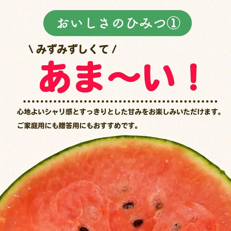 【先行予約】 すいか 2Lサイズ 4個入  なつここあ 牧之原市 静岡県 福代農園