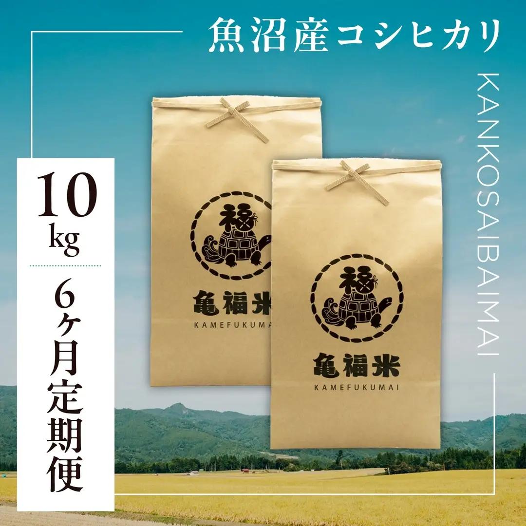 6ヶ月定期便 魚沼産コシヒカリ 亀福 慣行栽培 10kg(5キロ×2袋) | 津南町 魚沼 令和7年