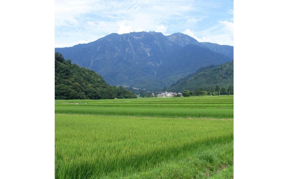 日本酒 八海山 特別純米原酒・純米大吟醸 時季限定 720ml×2本セット（2025年11月中旬より順次発送）