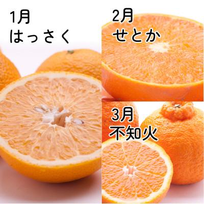 ふるさと納税 広川町 【発送月固定定期便】家庭用 柑橘定期便M(1〜3月)全3回 |  | 02