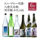 【ふるさと納税】日本酒 スノーブルー雪蒼 八恵久比岐 雪中梅 かたふね 720ml 6本 セット お酒 おすすめ 酒 ふるさと納税 新潟 新潟県産 にいがた 上越 上越産　お届け：順次発送