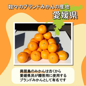 【2026年11月下旬頃から順次発送】興居島みかん 約3kg（L?Sサイズ） みかん 柑橘 興居島 ごごしま ブランド 愛媛県 松山市【SSK018】