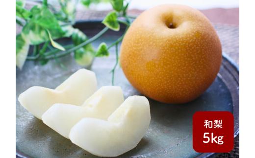 MS02-26A 【先行予約】梨 幸水か豊水（長野県産秀品） 約5kg / 2026年8月下旬～9月中旬頃 配送予定 // 長野県 南信州 梨 なし ナシ 幸水 豊水 贈答 こうすい ほうすい