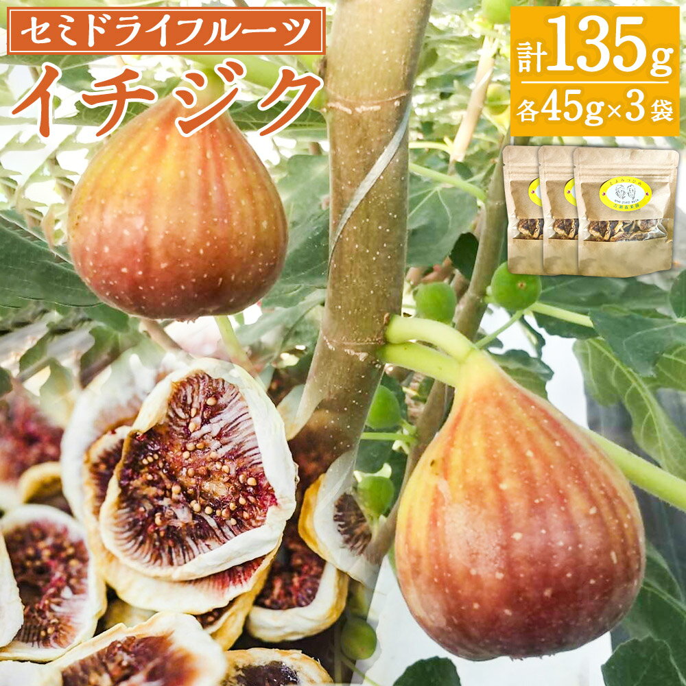 【ふるさと納税】 吉瀬森果園 イチジク (とよみつひめ) セミドライフルーツ (各45g×3袋) イチジク いちじく 旬 フルーツ 果物 果実 常温 送料無料 福岡県 うきは市