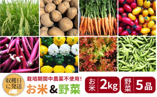 【☆畑直送☆栽培期間中農薬不使用！】お 米 2kg & 野菜 5品 の セット 糸島市 / オーガニックナガミツファーム [AGE035]