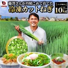 藤澤さんが丹精込めて作った 便利な冷凍 カットねぎ10kg(500g×20)