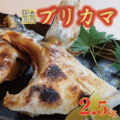ふるさと納税 愛南町 数量限定 ブリカマ 2.5kg ハマスイ 愛南町 愛媛県