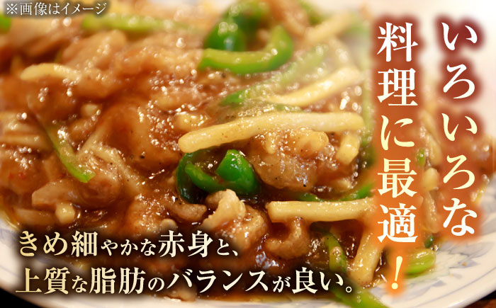 A5ランク 佐賀牛 切り落とし 460g /焼肉どすこい [UCC010] 牛肉 肉