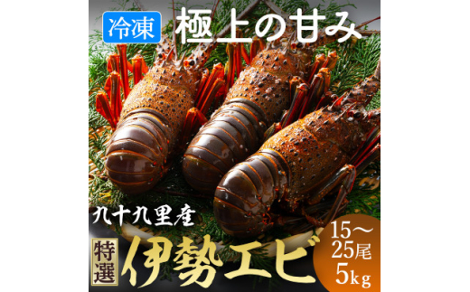 【 先行予約 2026年度発送】  冷凍 伊勢海老 刺身用 15～25尾 約5kg  活け〆 伊勢 海老 エビ 九十九里浜 九十九里 急速冷凍 瞬間冷凍 冷凍 真空個装 真空パック 刺身 生食用 魚介 新鮮 高級 人気 お祝い ギフト お取り寄せ  グルメ おすすめ 送料無料 ふるさと納税 不動丸 千葉県 旭市 fdm021