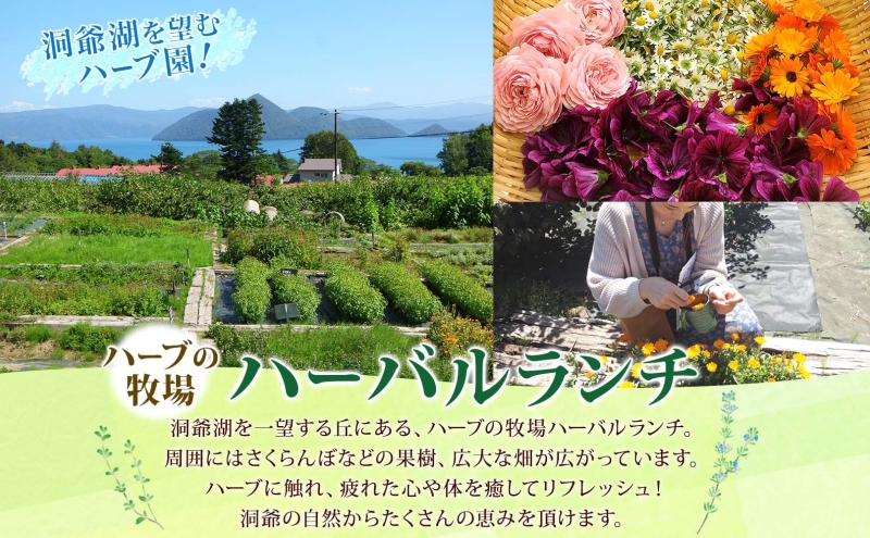 北海道 摘みたて ハーブソルト 作り 体験 ハーブ ソルト 塩 岩塩 調味料 調味塩 オリジナル ハーブ畑 天然 乾燥ハーブ ドライハーブ 料理 ハーバルランチ 送料無料 洞爺湖 