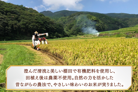 米 令和8年 平戸の健康米 4kg もち麦 400g セット