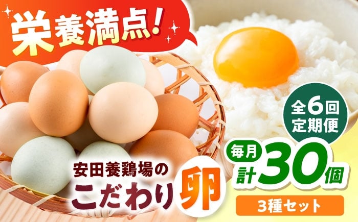 
            【全6回定期便】安田養鶏場の卵 3種セット しおさい アトムくん タフラン 30個入り（各10個入り） 横須賀市 産地直送 たまご 黄身 濃厚 卵 玉子 タマゴ 鶏卵  【安田養鶏場】 [AKHN012]
          