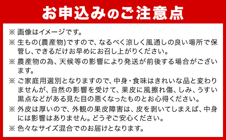 はるか 約 5kg サイズ混合 どの坂果樹園《3月上旬-5月下旬頃出荷》 和歌山県 日高川町 はるか 旬 柑橘 フルーツ 果物---wshg_dsk13_ab35_23_11000_5kg---