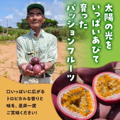 ふるさと納税 和泊町 【ご家庭用】山下農園のパッションフルーツ2キロ |  | 03