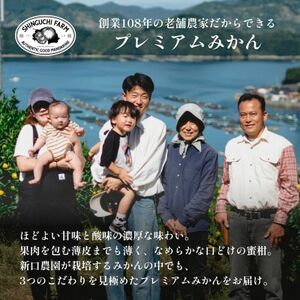 老舗農家が見極めたプレミアム【小玉】愛媛みかん10kg【愛媛県川上産】【E70-93】【1671190】