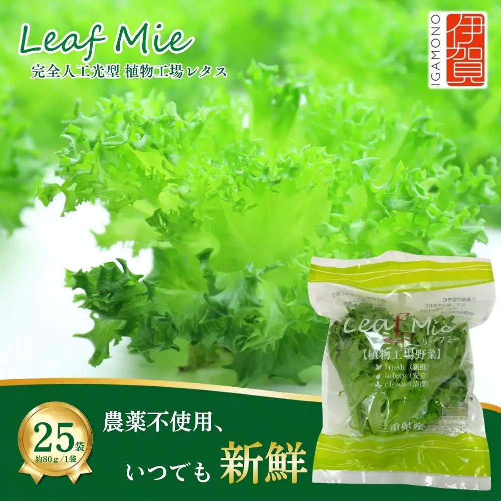 【農薬不使用】レタス Leaf Mie（完全人工光型植物工場レタス）約80g×25個【fskk0001】