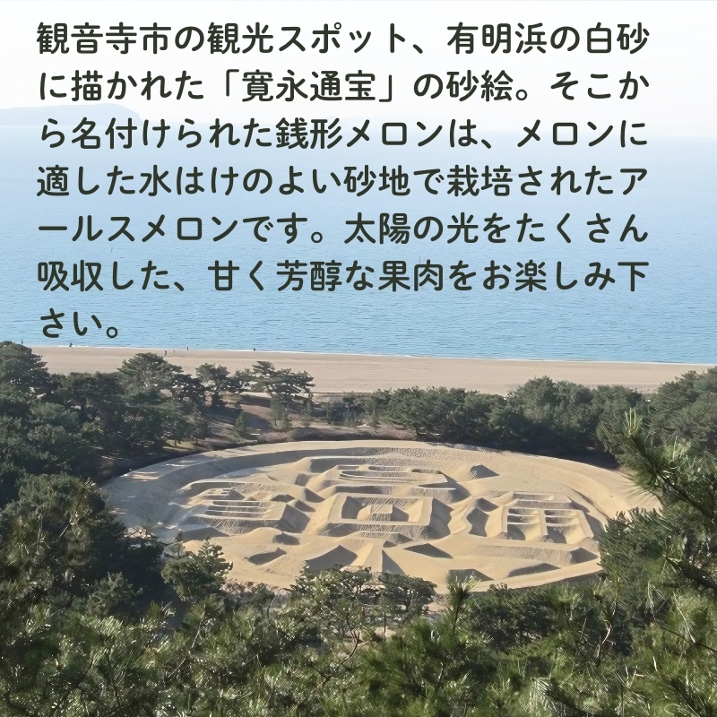 銭形メロン 2玉 化粧箱入り 約2.5kg　［アールスメロン］ 果物類 フルーツ