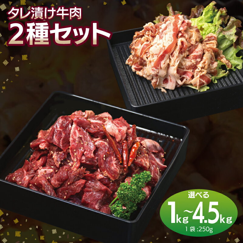 【ふるさと納税】タレ漬け 牛肉 2種 セット 満足 牛ハラミ 中辛タレ 切り落とし 生姜醤油タレ 選べる 内容量 1kg / 1.5kg / 4.5kg 味付け ハラミ 小分け 焼くだけ 簡単調理 BBQ 焼き肉 野菜炒め お取り寄せグルメ 大阪府 泉佐野市 送料無料 肉の泉佐野