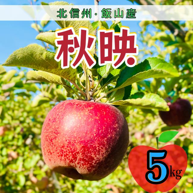 【先行予約】秋映（あきばえ）【約5ｋｇ(12?18玉)】(7-A23-2)