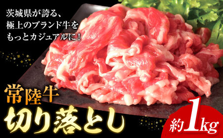 常陸牛 切り落とし 500g × 2パック 1kg (茨城県共通返礼品：茨城県産) ワークミート《30日以内に出荷予定(土日祝除く)》茨城県 河内町 常陸牛 和牛 切り落とし 焼肉 牛丼 肉じゃが 牛肉 牛 1000g