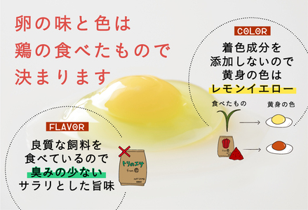 【全2回定期便】こだわりの無投薬･平飼い有精卵 25個《厚真町》【テンアール株式会社】 たまご 卵 鶏卵 玉子 生卵 平飼い 北海道 定期便[AXAN090]