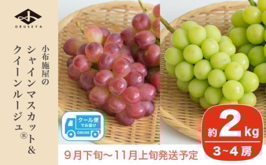 シャインマスカット＆クイーンルージュ® 約2kg 3～4房 ［小布施屋］ 果物 フルーツ ぶどう 葡萄 令和7年産【2025年9月下旬～11月上旬発送】 ［A-703］