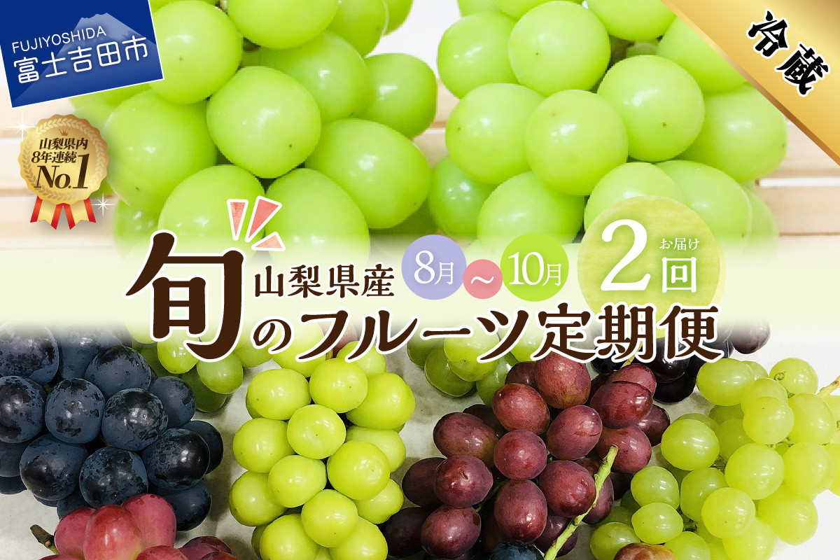 
                  【2回お届け！】 旬のフルーツ 定期便 （ おまかせ旬のぶどう ・ シャインマスカット ） 山梨県産 シャインマスカット 果物 フルーツ 旬 ぶどう 高級 2024年 先行予約 山梨 富士吉田
                