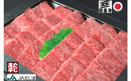 但馬牛 焼肉用 500g / モモ 肩 牛肉 焼肉 霜降り 赤身 但馬牛 黒毛和牛 和牛 国産牛 焼き肉 牛 肉 やきにく 【JAたじま 肉の店本店】【12月23日受付分まで年内発送】