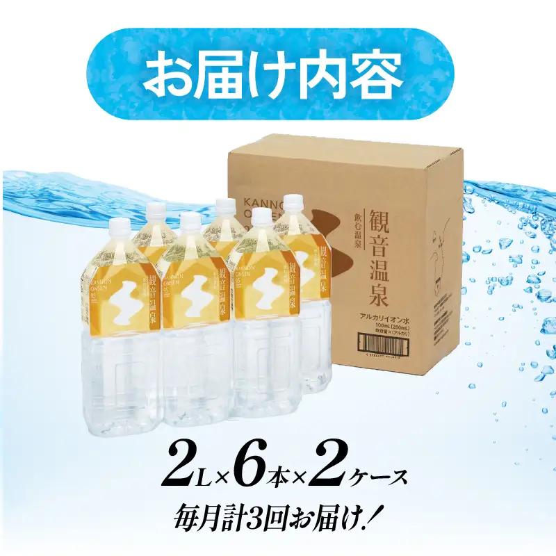 飲む温泉観音温泉2L(6本入)2ケース定期便（3ヶ月）毎月