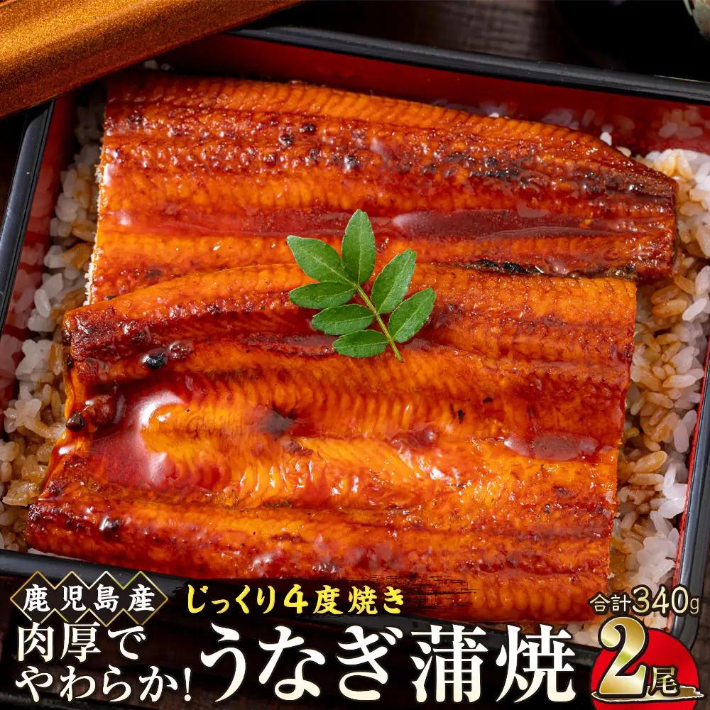 うなぎ 蒲焼 170g×2尾【鹿児島産】地下水で育てた絶品鰻