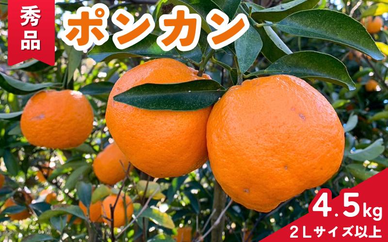 
            【期間限定・2025/2/10まで】ポンカン4.5kg / 和歌山県 ぽんかん フルーツ 果物 柑橘 田辺市【ike006】
          