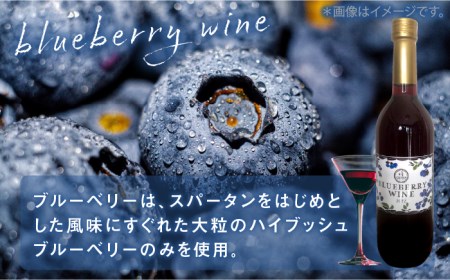 糸島産 ブルーベリー ＆ ブラックベリー ワイン 720ml×2種 セット 糸島市 / HYM FARM[AHM001]