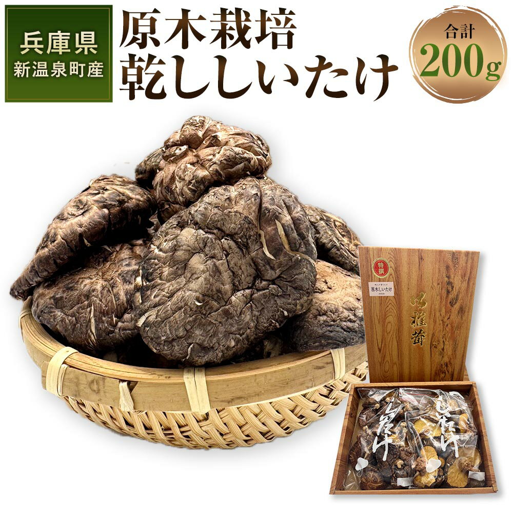 【ふるさと納税】原木栽培 乾ししいたけ 計200g（100g×2袋） 兵庫県新温泉町産 乾し椎茸 原木椎茸 干し椎茸 しいたけ シイタケ 椎茸 きのこ キノコ 茸 炊き込みご飯 おひたし 煮物 兵庫県 新温泉町 送料無料