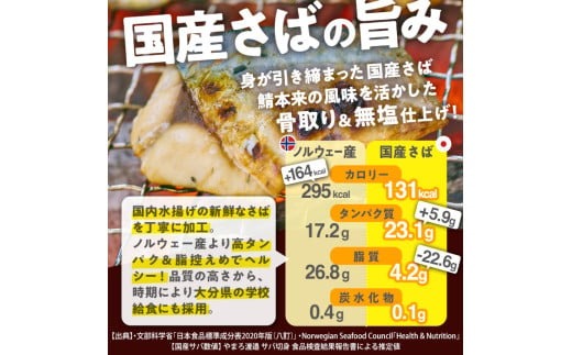 【期間限定・白身魚フライ2切付】訳あり・業務用さば 切り身 (総計約1.2kg・30切) 訳あり さば 切り身 セット 冷凍 国産 切身 魚 海鮮 おかず 骨抜き 骨なし 骨取り 個包装 鯖 惣菜 簡単調理 無塩 フライ 塩焼き 味噌煮【AQ88-G】【やまろ渡邉】