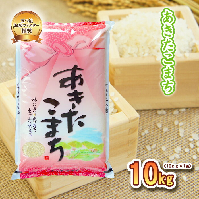 【ふるさと納税】米 あきたこまち 10kg 精米 白米 お米マイスター 単一原料米 お米 おこめ こめ 秋田こまち 岩手 岩手県 盛岡市