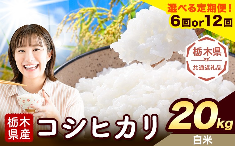 
                  【選べる定期便回数 6ヶ月or12ヶ月】米 栃木県産 コシヒカリ 白米 20kg《お申込み翌月から出荷》栃木県 野木町 米 白米 精米 国産 お米 おこめ お弁当 おにぎり【栃木県共通返礼品】
                