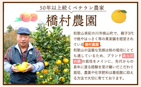 桃 モモ【 3回 定期便 】あら川の桃 約1.8kg~約2kg 旬の品種3回お届け 3回お届け 橋村農園 《2025年6月下旬-8月中旬頃出荷》 和歌山県 紀の川市