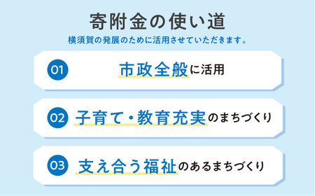 【応援寄附金】神奈川県横須賀市 返礼品なしのご寄附（30,000円）【横須賀市】[AKZZ033]