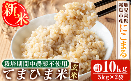 K-391-C ＜令和7年産新米 先行予約受付中！2025年12月以降順次発送予定＞てまひま米・玄米(品種:にこまる)(計10kg)【末蜜農園】霧島市 お米 玄米 米 こめ コメ ご飯 ごはん 定期便 栽培期間中農薬不使用