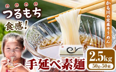 素麺 ソーメン 手延べ素麺 50g × 50束 2.5kg かも川手延素麺株式会社《30日以内に発送予定(土日祝除く)》---124_14_30d_23_20000_50---