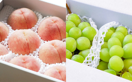 【定期便5回】ノノハナフルーツ 笑顔はなまる定期便 FY25-329